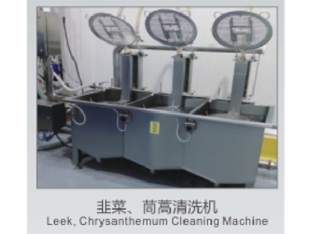 韭菜、茼蒿清洗機(jī)